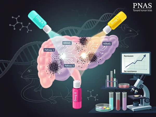 Triple Assault Erases Pancreatic Tumors in Mice, Igniting Hopes for Human Trials